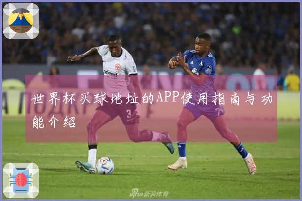 世界杯买球地址的APP使用指南与功能介绍