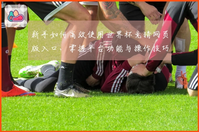 新手如何高效使用世界杯竞猜网页版入口，掌握平台功能与操作技巧