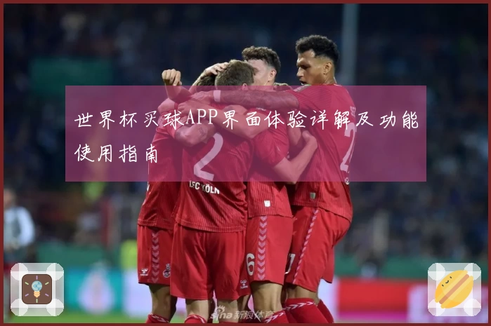 世界杯买球APP界面体验详解及功能使用指南