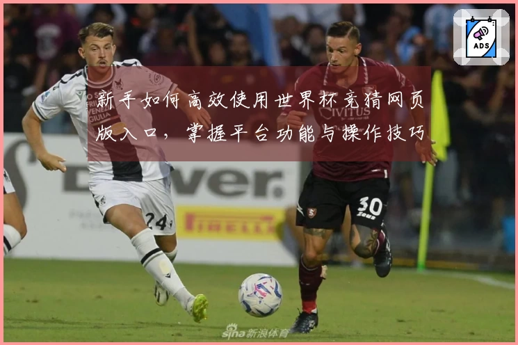 新手如何高效使用世界杯竞猜网页版入口，掌握平台功能与操作技巧