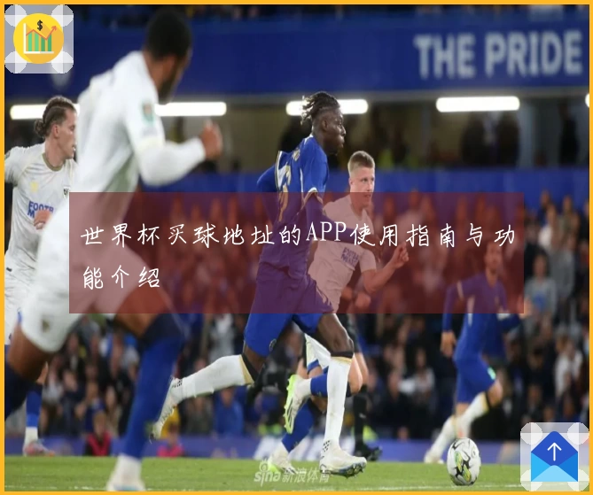 世界杯买球地址的APP使用指南与功能介绍