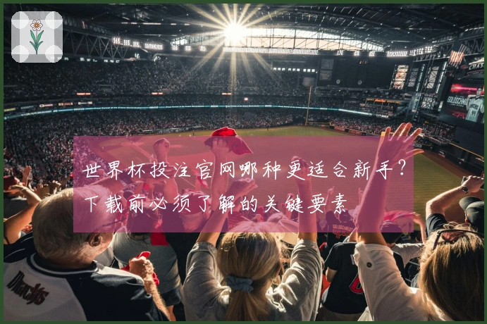 世界杯投注官网哪种更适合新手？下载前必须了解的关键要素