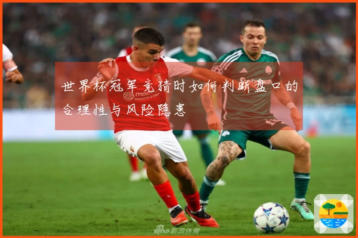 世界杯冠军竞猜时如何判断盘口的合理性与风险隐患