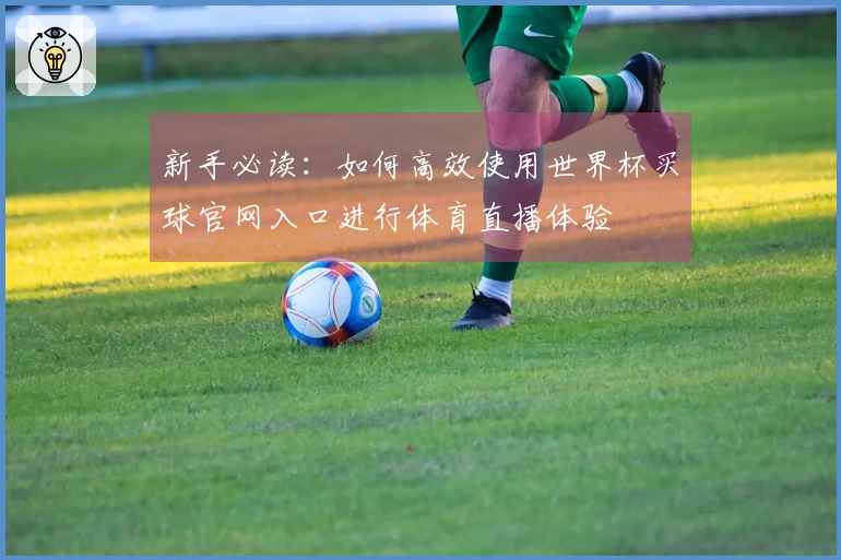 新手必读:如何高效使用世界杯买球官网入口进行体育直播体验