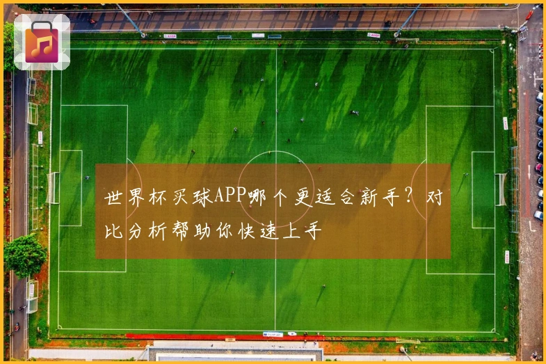 世界杯买球APP哪个更适合新手？对比分析帮助你快速上手