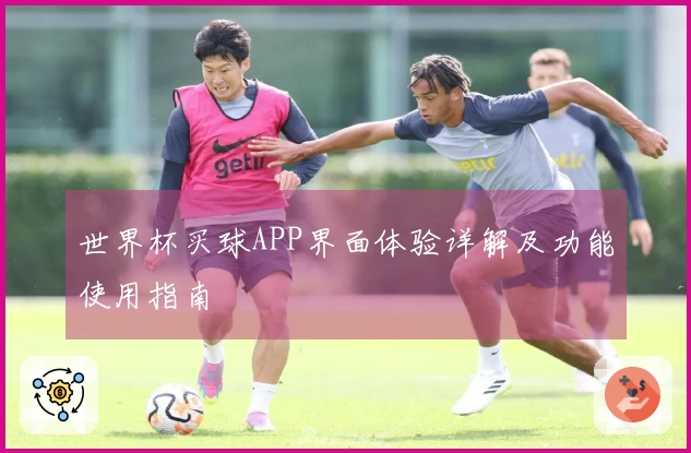 世界杯买球APP界面体验详解及功能使用指南
