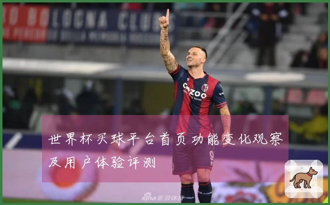 世界杯买球平台首页功能变化观察及用户体验评测