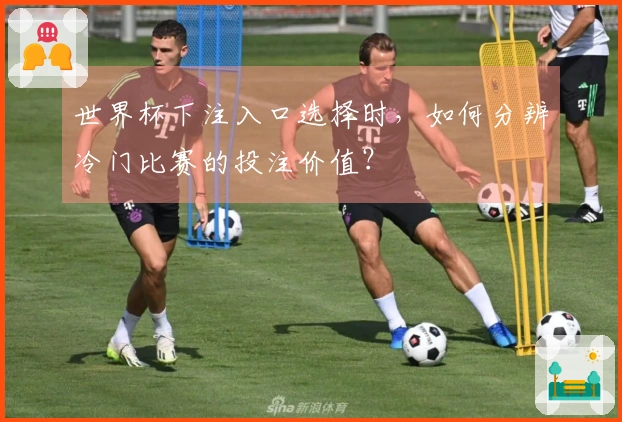 世界杯下注入口选择时，如何分辨冷门比赛的投注价值？