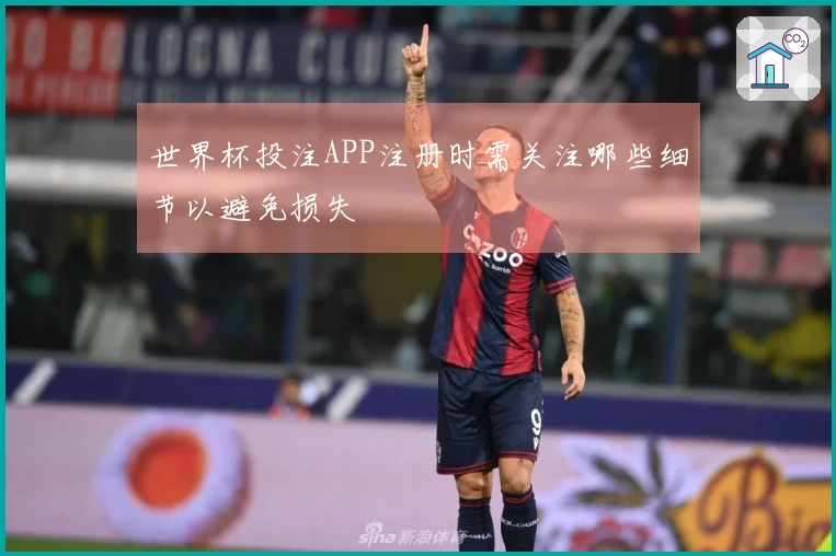 世界杯投注APP注册时需关注哪些细节以避免损失