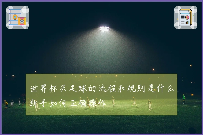 世界杯买足球的流程和规则是什么新手如何正确操作