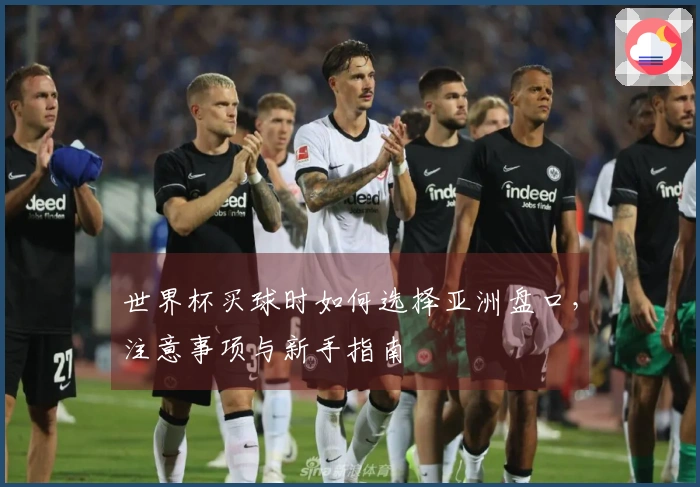 世界杯买球时如何选择亚洲盘口,注意事项与新手指南