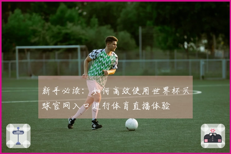 新手必读：如何高效使用世界杯买球官网入口进行体育直播体验