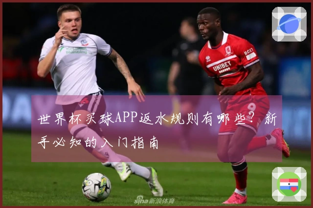世界杯买球APP返水规则有哪些？新手必知的入门指南