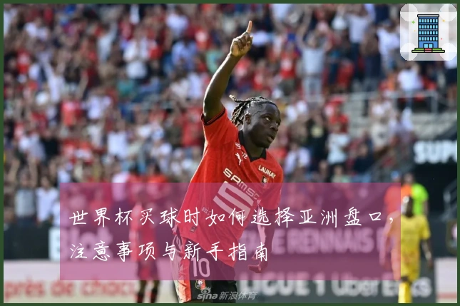 世界杯买球时如何选择亚洲盘口，注意事项与新手指南