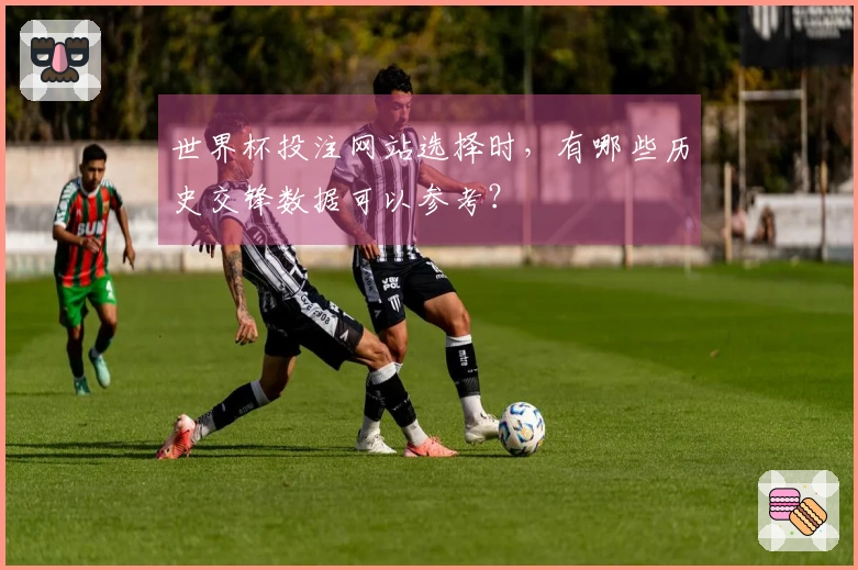 世界杯投注网站选择时，有哪些历史交锋数据可以参考？